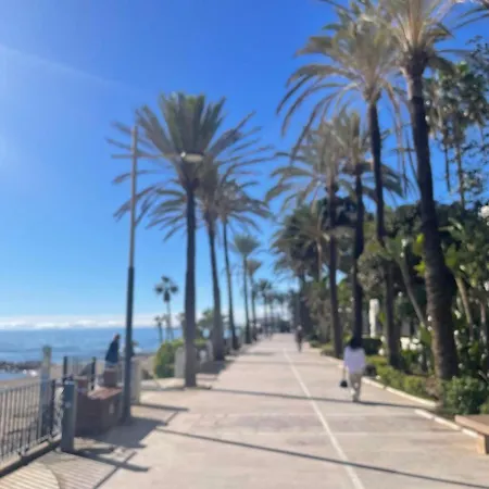 Paco * Marbella