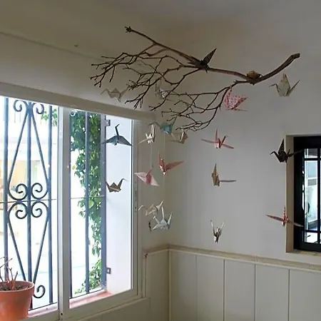 Paco Guest house