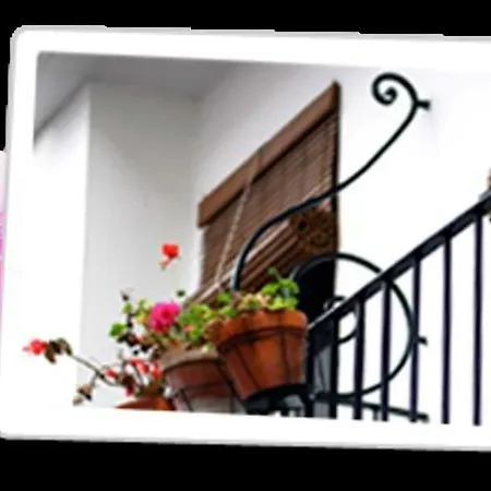 Paco بيت ضيافة ماربيا