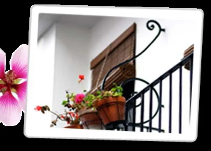 Paco Pensionat Marbella